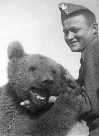 Illustration for article titled The Incredible Story of Wojtek, the Soldier Bear
